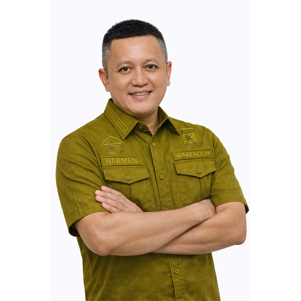 Ir. Harmen Saputra